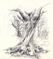 tree body