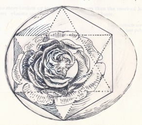 Rose egg